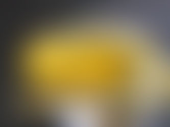 今年もトウモロコシ来た!