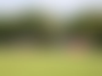 Frauen 1: Bittere Niederlage trotz starker Leistung