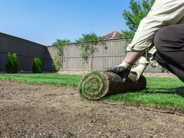 Professional Landscaping In Waco, Texas