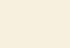 Antique White