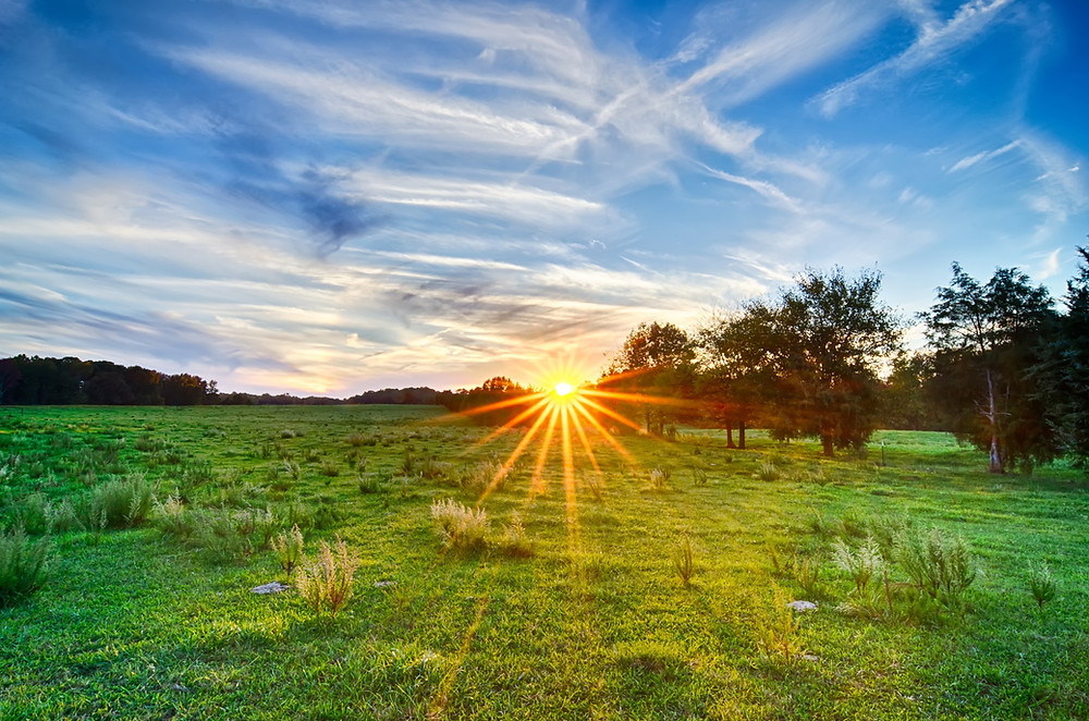 Adding Park Home To RV Park vs Your Own Land
