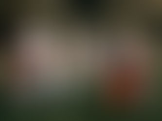 🎃 Boo! Let’s Talk Halloween Safety: Tips for a Fun (and Safe) Night of Frights!