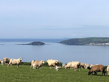Sheep Looe Bay