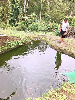 2.- PESCA DE TILAPIAS.jpg