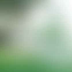 Sign Up Now for 2026 Men's Winter Indoor League