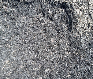 imageBlack Mulch.jpeg
