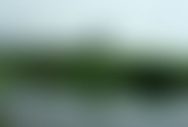 Зов джунглей