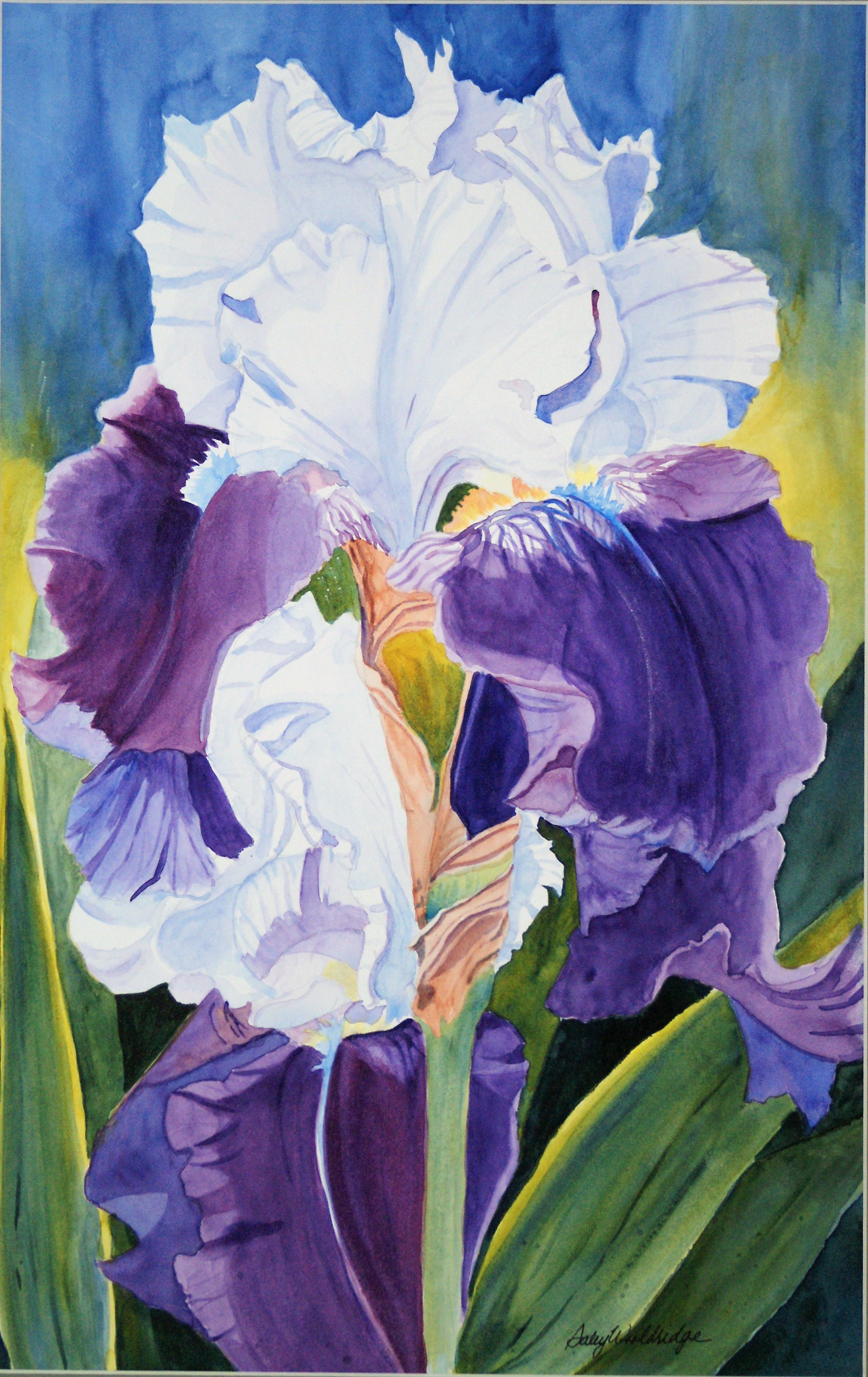 Sally Wooldridge