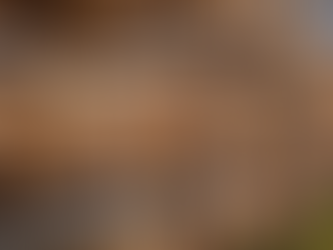 What Is Tørrfisk? Norway’s Ancient Arctic Food