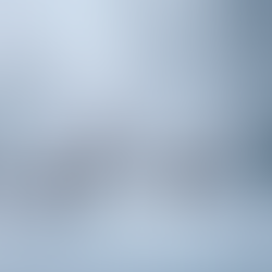 Reindeer in Northern Norway