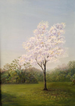 Lapacho II