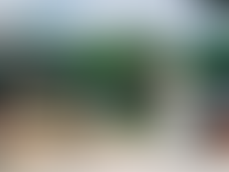 Menjelajahi Wonju: Permata Tersembunyi di Korea Selatan