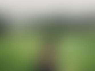 Menyelami Keindahan Alam di Bukit Tanjung Uma, Batam