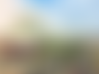 Swiss-Belinn Baloi Batam: Kenyamanan dan Aksesibilitas di Tengah Kota