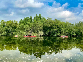 Simpang, Singapura: Pesona Tenang di Tengah Perkembangan Modern