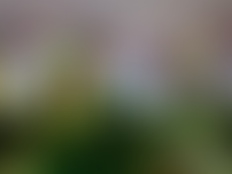 Marina South, Singapura: Ikon Modern dengan Keajaiban Urban