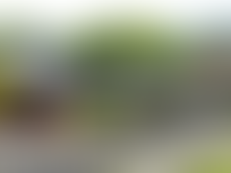 Jinju: Kota Sejarah dan Keindahan Alam di Korea Selatan