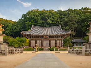 Menjelajahi Keindahan Gimcheon: Surga Tersembunyi di Korea Selatan