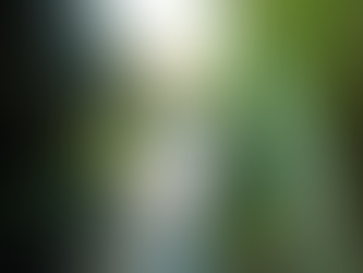 Air Terjun Madakaripura: Keajaiban Tersembunyi di Jawa Timur