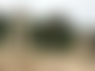 Menyelami Keindahan dan Sejarah di Dangjin, Korea Selatan