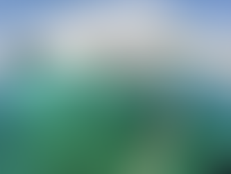 Menjelajahi Pesona Pulau Petong di Batam