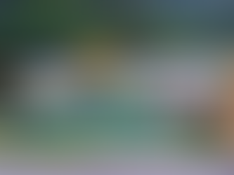 Menyelami Keindahan Mandai: Destinasi Alam dan Konservasi di Singapura