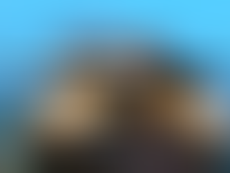 Menikmati Keberagaman Rasa di Rumah Kopi Fatmawati Batam