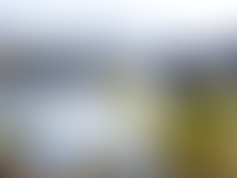 Menjelajahi Keindahan dan Budaya di Gwacheon, Korea Selatan