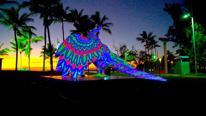 NIGHT PARROTS