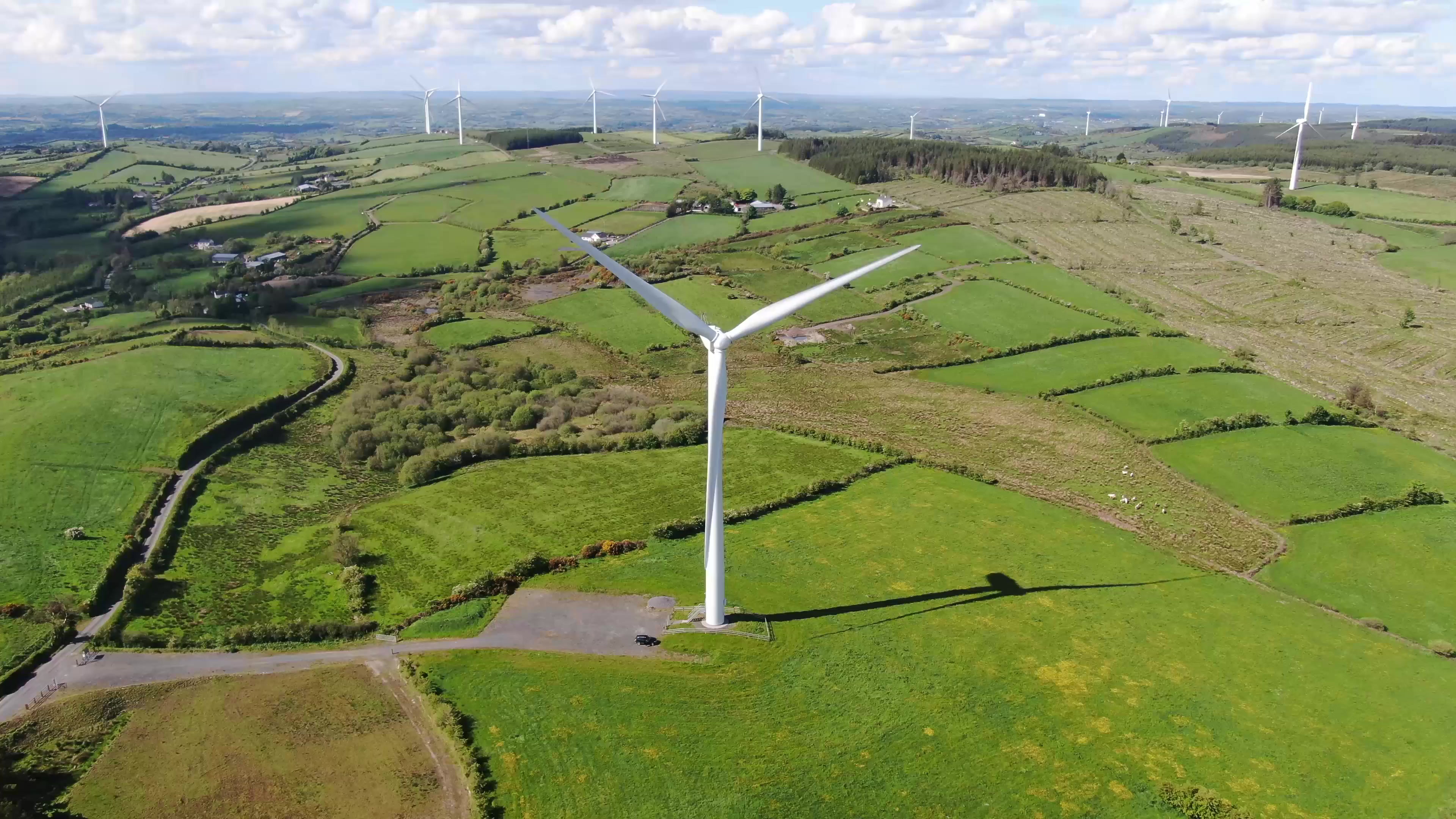 Wind Power Leads Ireland's Energy in February 2025