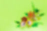 The Art of Paper Quilling  | Cavan Institute