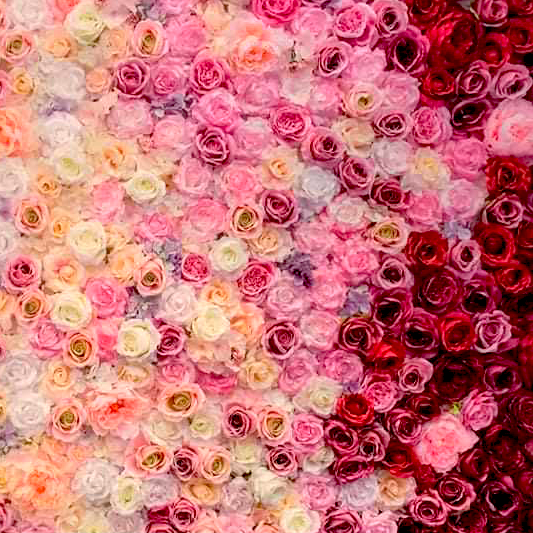 fotomenowbackground2