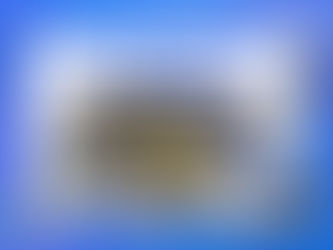 Practical Skills: A Week in the Motor Vehicle Workshop