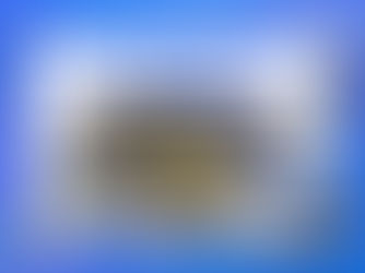 Practical Skills: A Week in the Motor Vehicle Workshop