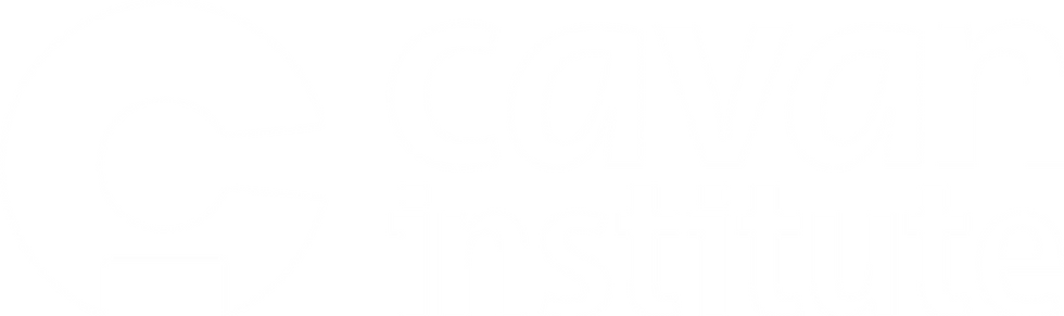 College Courses | Cavan Institute | Cavan, Ireland