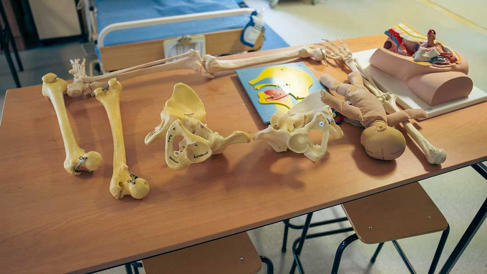 Nursing Studies – Maternity and Children