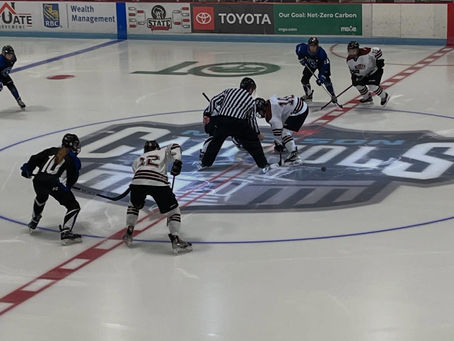 Opinion: Time to eliminate set sectionals for WIAA hockey playoffs