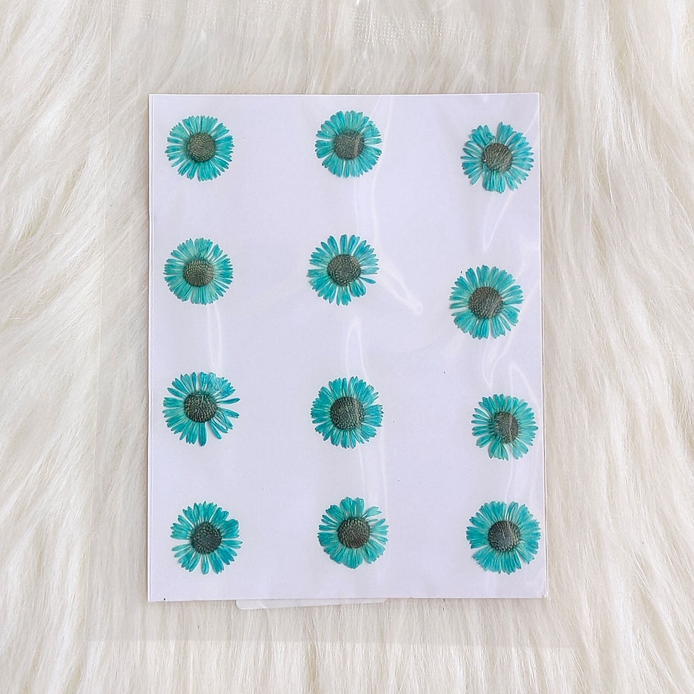 Thumbnail: Dry Pressed Aster Flower Sheet - 12pcs