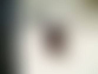 村田町|バスケやブランコをして楽しめるお庭のリフォーム・4