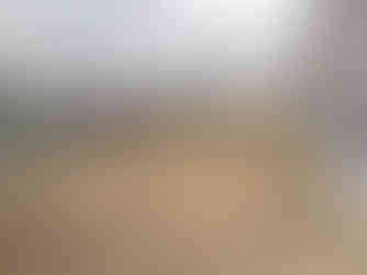 外構工事の中庭の雑草抜き取り後