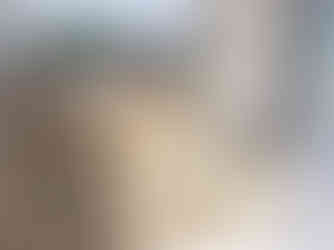 外構工事／雑草撤去1