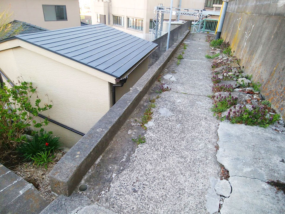 フェンスBefore
