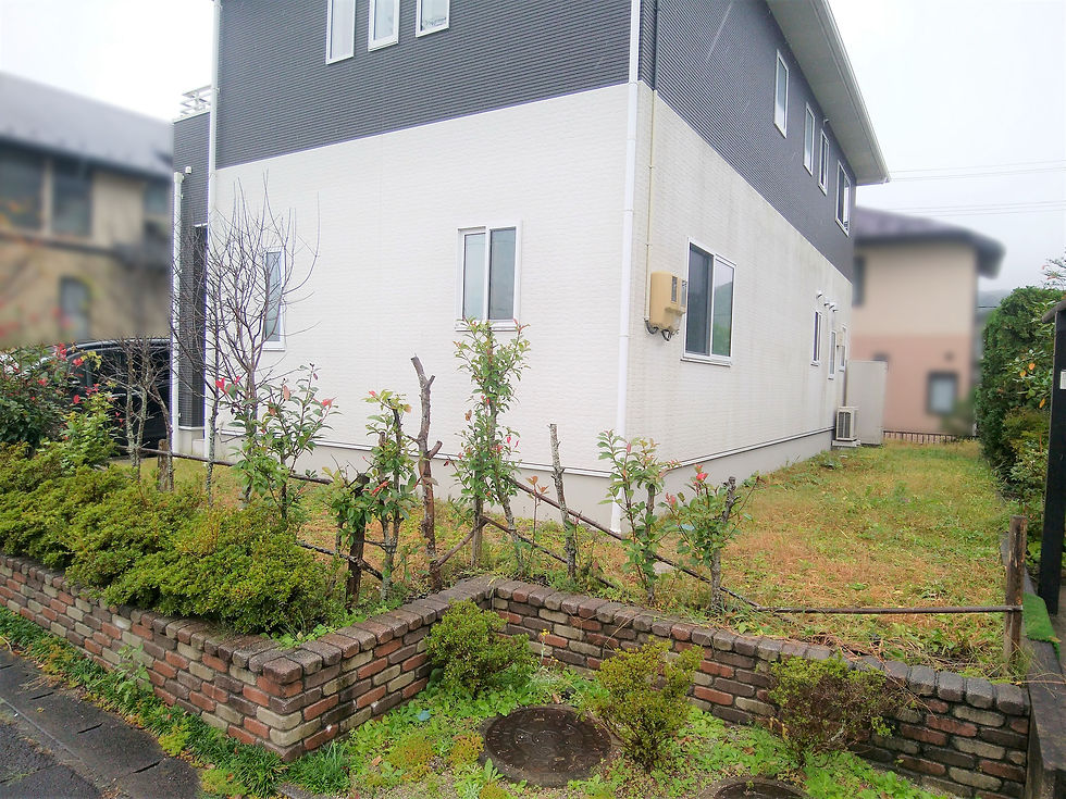 外構工事前（道路境界）：植木の生垣は手入れが大変でした。