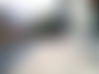 名取市|透水性平板を使用した大型テラスと天然芝(TM9)の庭・6