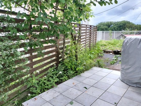 外構工事前のお庭の状態2