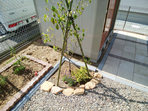 シンボルツリー