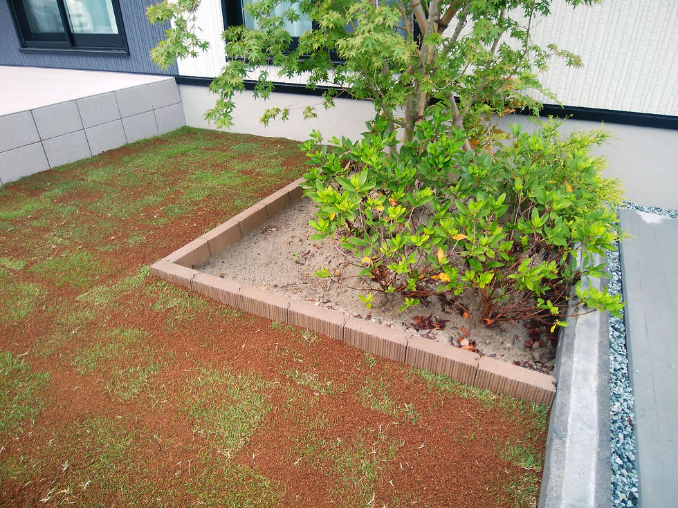 外構工事後（花壇周り）：芝生に囲まれてスッキリとした印象に。芝生は基礎やテラスへの泥はね防止にもなります。