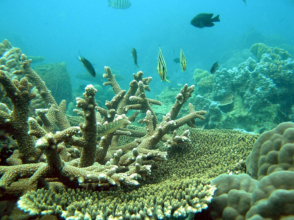 Phu Quoc 8
