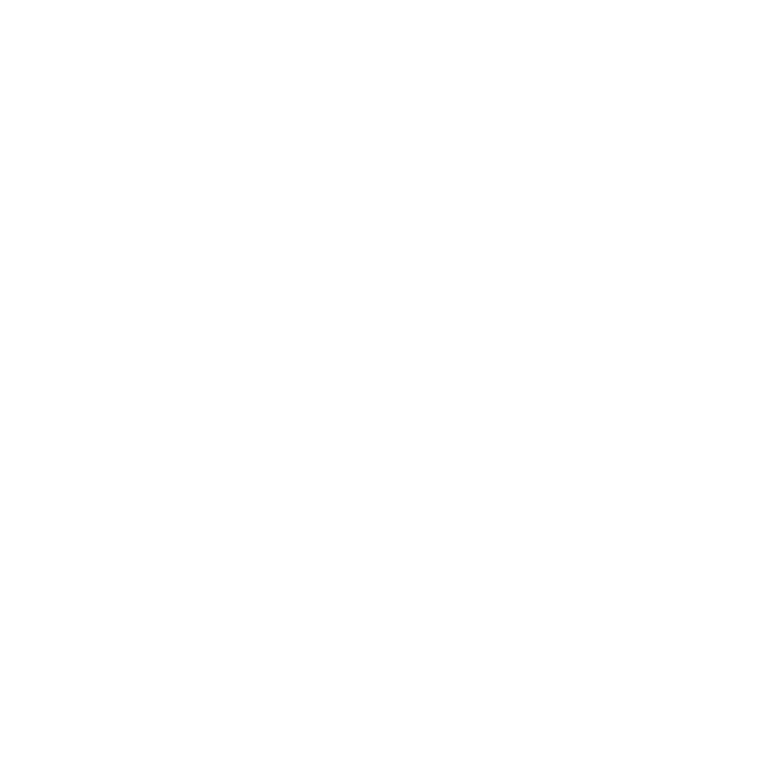 Transparent white logo.png