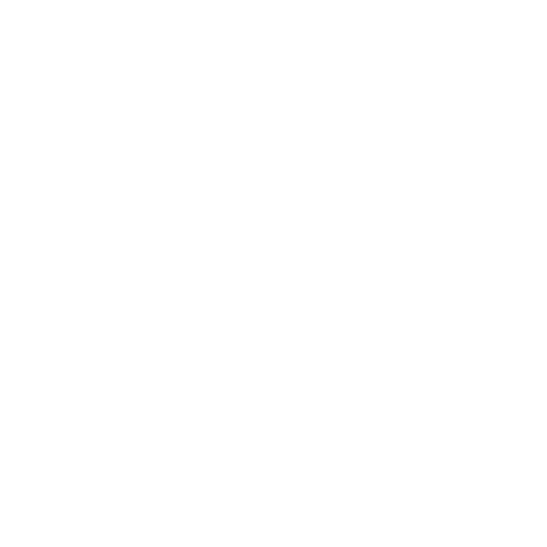 Transparent white logo.png